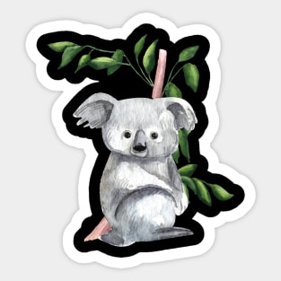 Lovely Koala Bear Drawing Cute Australian Native Gift Sticker